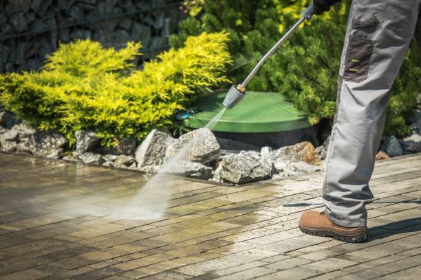 Best Concrete Sealing  in Albion, IL