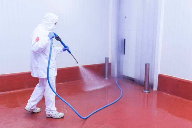 Best Dumpster Area Cleaning  in Albion, IL